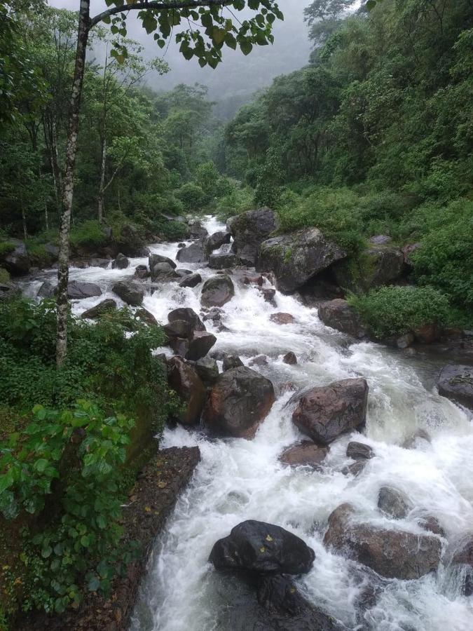 Aranya Baas Homestay Sukhia Pokhari المظهر الخارجي الصورة